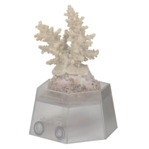 aquamedic-coral-holder-base-plastica-de-apoio